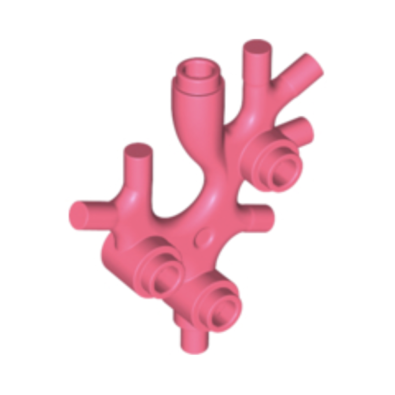 Plant, Zeewier, Koraal Coral